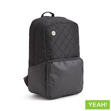 Focused Space The Curriculum Black Yeah