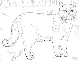 Ausmalbilder Katzen Malvorlagen Kostenlos Zum Ausdrucken