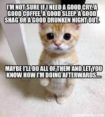 The most common shorthand of needs a good shag. Meme Creator Funny I M Not Sure If I Need A Good Cry A Good Coffee A Good Sleep A Good Shag Or A Meme Generator At Memecreator Org