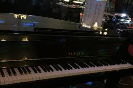 Elhem chafai salon du mariage oriental (27/11/2016). Dj Lyon Soiree Privee Pianiste Dj Professionnel Mariage Soiree Privee Evenement Piano Bar Anniversaire