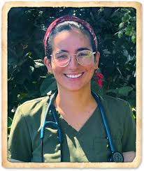 Indian Harbour Beach Veterinarians