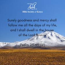 Check spelling or type a new query. Bible Society Kenya On Twitter Surely Goodness And Mercy Shall Follow Me All The Days Of My Life And I Shall Dwell C In The House Of The Lord Forever Psalm 23 6 Esv Bibleverseoftheday