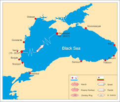 Image result for Black 1990 Fleet