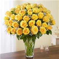 Honor the one's you love with corsages and boutonnieres. Products Gifts Flowers San Antonio Tx Same Day Same Day Flower Delivery Delivery