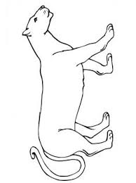 A pop of color will bring this printable cougar are property and copyright of their owners. Pin On Felt Obsession