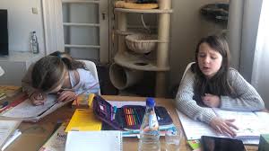 Проверьте 'unterricht zu hause' перевод на английский. Homeschooling In Corona Zeiten So Kann Unterricht Zu Hause Aussehen Oko Test