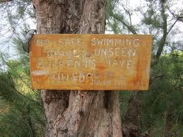 If the beach appears unsafe for swimming, the nearby anahola or anini beaches are safer alternatives and only 15 minutes away. Larsens Beach Kauai Beach Scoop