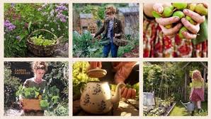 Izzy Bee Green Dreams Garden Inspiration Edible Garden Green