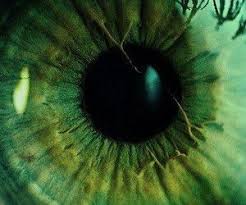 Eye Green And Eyes Image Dark Green Aesthetic Green Aesthetic Slytherin Aesthetic