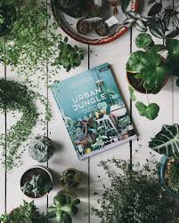 Living And Styling With Plants The Urban Jungle Bloggers Have Created A Book Packed With Green Inspiration Plant Styling Ideas And Handy Plant Information For