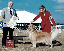 Junior Showmanship Survey | Breeding Better Dogs
