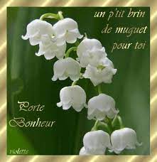 Je t'offre ce bouquet de. Images Bouquet De Muguet Gratuites Popular Century