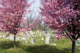 We did not find results for: St Peter S Cemetery Evangelical Lutheran Church North Wales Pa