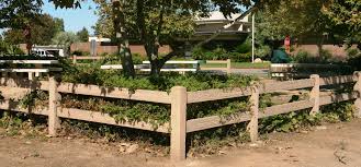 Equestrian friendly fencing whitewashed wood split rail fence is the traditional look for equestrian homesites, but this material is rife with problems and high maintenance. Precast Concrete Rails System Wood Split Rail Fence American Precast