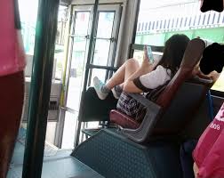 고속버스에서 앞자리 여고딩으로 딸딸이 친 20대 검거.jpg | 일간-베스트 | 일베저장소