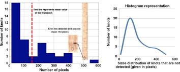 Machine Vision For Timber Grading Singularities Detection