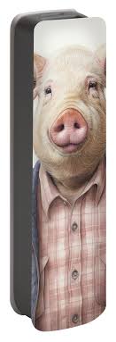 Mr. Pig Portable Battery Charger by Land of Dreams