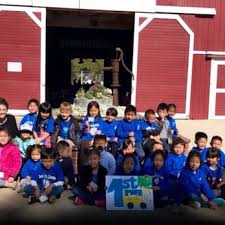 The skin of an eggplant is full of antioxidants, potassium and magnesium. Cook Elementary School 12 Photos Elementary Schools 9802 Woodbury Ave Garden Grove Ca Phone Number