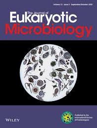 Image result for Lankesteria