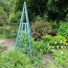 We did not find results for: Getting Sweet Peas To Grow On An Obelisk Sweet Pea Gardens