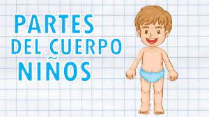 Partes Del Cuerpo Ninos Youtube