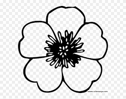 Download this premium vector about flower coloring page, and discover more than 12 million professional graphic resources on freepik Flower Coloring Pages Png Flores Png Para Colorear Flower Vector Art Black And White Clipart 1825136 Pikpng