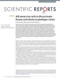 Gm d#maj7 got no human grace your eyes without a face. Pdf Aii Amacrine Cells In The Primate Fovea Contribute To Photopic Vision