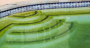 Poolwasser Grun 2020 Alles Wissenswerte Zu Grunem Poolwasser