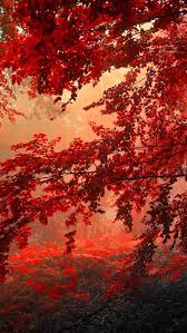 Jesien W Pelni Anime Scenery Wallpaper Scenery Wallpaper Beautiful Fantasy Art