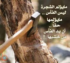 حكم وامثال بالصور26 Gravity Falls Johanna Mason Axe