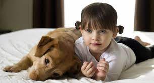 Allergies Ages 3 And 4 Babycenter