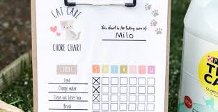 cat care chore chart