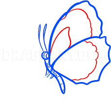 Instructional gelatin books are a great tool for. How To Draw A Butterfly On A Flower Butterfly And Flower Step By Step Drawing Guide By Dawn Dragoart Com