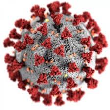 While hpv does cause cervical cancer, the risk of developing cervical cancer from the virus is still quite low. Hpv Impfung Vgk24 Was Erstattet Die Krankenkasse