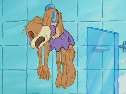 🤠 check out the next episode of sheriff sandy cheeks showing her texas lasso skills! Spongebuddy Mania Spongebob Transcripts Someone S In The Kitchen With Sandy