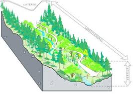 Maybe you would like to learn more about one of these? 0423 1201 Sdtdc Riparian Restoration