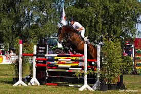 Sieg für den erst 4jährigen high five und jessica mit wn 8,5 in damme. Ludger Beerbaum In Rheine Wadelheim S Springen Foto Bild Sport Sport Mit Tieren Pferdesport Bilder Auf Fotocommunity