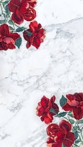 431f79da474443084b8ffcc1794385f1 Jpg 500 889 Pixels Rose Wallpaper Iphone Wallpaper Flower Wallpaper