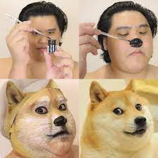 See high quality wallpapers follow the tag #wallpaper doge for mobile. Dogecoin Cosplay Dogecoin