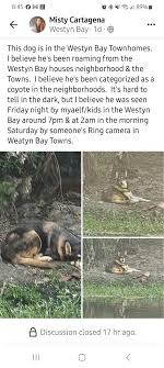 Lost & Found Pets in Apopka