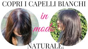 Henna for hair comes in various preparations, including powders; How To Use Henna The Ultimate Guide To Herbal Hair Dyes Beautilicious Delights