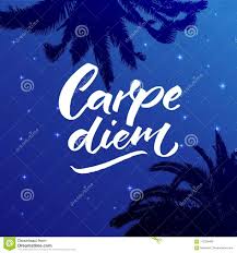 Carpe Diem Latin Phrase Means Seize The Day Enjoy The Moment Inspiration Quote Brush Calligraphy Handwritten On Stock Vector Illustration Of Design Pink 112228486