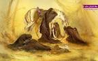 Image result for ‫تحقیق در مورد محرم‬‎