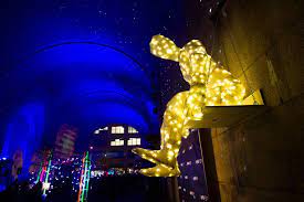 New York Festival Of Light Installation Kukinyc Kuki Instalation Nyfol14 Nyfol Art Nyc Nycart Ea Nyc Art Festival Lights Light Of The World