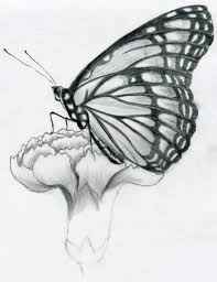 3d colored pencil drawing of butterfly speed draw jasmina susak 3d art. 3d Butterfly Drawings In Pencil Peepsburgh