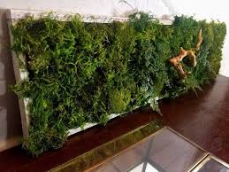 36 X 9 5 Moss Art Plantscape Statement Wall Plant Art Preserved Moss Lichens Ferns And Branches