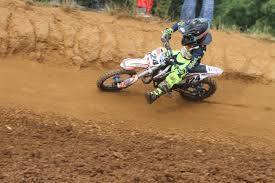 Profile for Ellis milkins #24