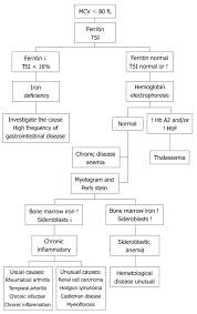 Classification Of Anemia For Gastroenterologists