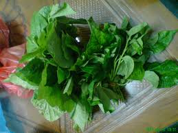 Share this on whatsappnama pokok : Ulam Kaduk Oh Ulam Kaduk Apakah Khasiatnya Mari3 Berfakta Bersama Saya Zalzazilahfahraahmad