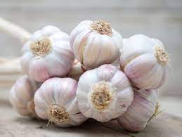 How do i store garlic from my garden. 7 Ways To Make Garlic Last Longer How To Store Garlic